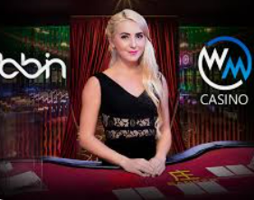 威廉体育2024最新版