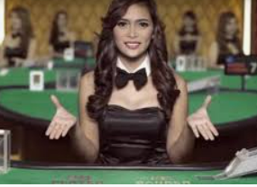 威廉体育电脑免费版